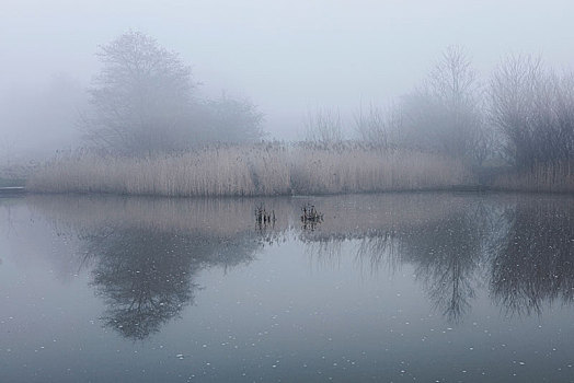 风景,湖,雾气,英国