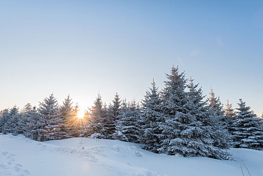 冬季长白山的雪地和雾凇