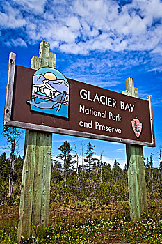 特写,欢迎标志,冰河湾国家公园,保存,东南阿拉斯加,夏天