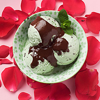 薄荷味,巧克力片,冰淇淋,碗,围绕,玫瑰花瓣