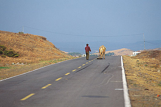 男人,走,道路