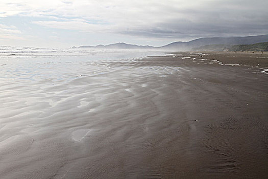 海滩,太平洋,靠近,奇洛埃,智利