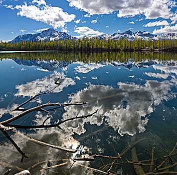 云,反射,晴天,湖,顶峰,背景,阿拉斯加,春天