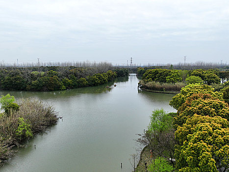 沙家浜