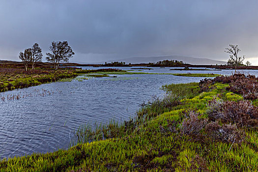 河,荒野,风景,雷雨天气,兰诺克沼泽,苏格兰,英国