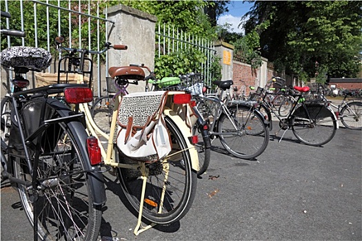 自行车停放,城市,芒斯特,北莱茵威斯特伐利亚,德国