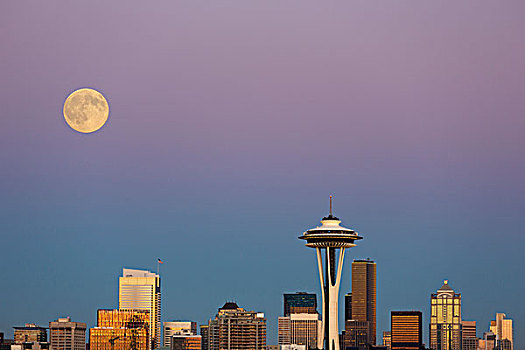 华盛顿,西雅图,天际线,风景,公园,满月,合成效果,图像,月亮
