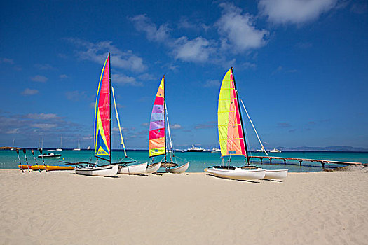 双体船,帆船,福门特拉岛,海滩,巴利阿里群岛