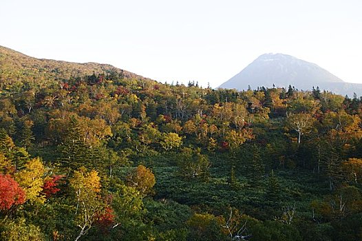 秋叶,山