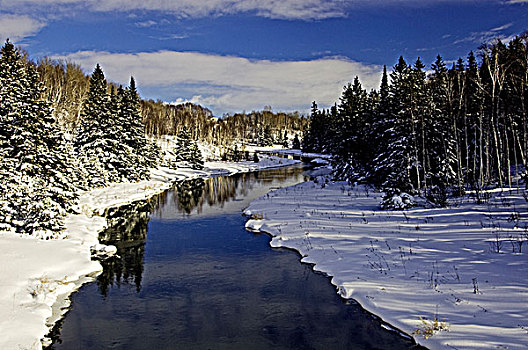 地表水流,连通,溪流,初雪,活泼,安大略省,加拿大