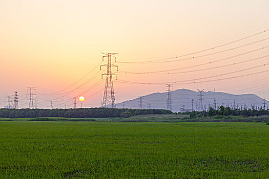 田野夕阳下的输变线路