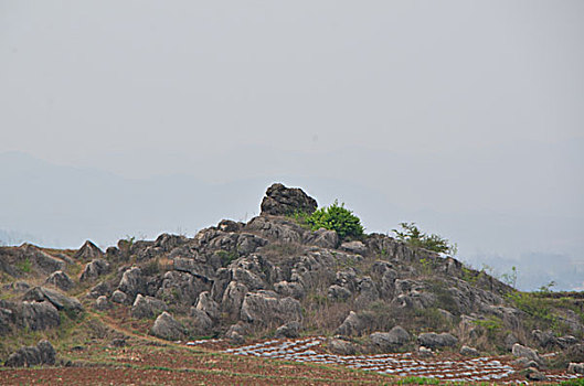 小尖山石林