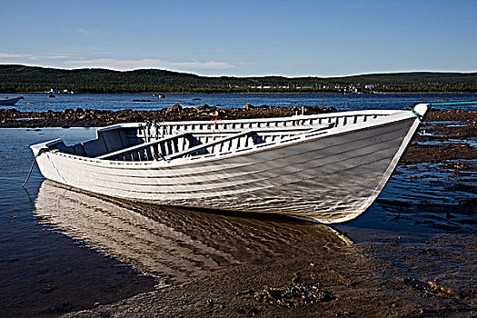 快艇,退潮,三明治,湾,拉布拉多犬,纽芬兰,加拿大