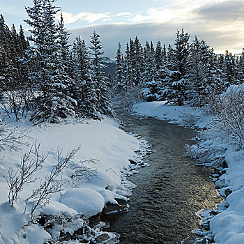 河,流动,积雪,风景,路易斯湖,艾伯塔省,加拿大