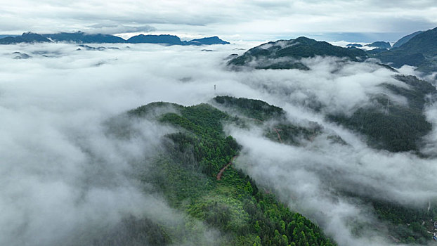 重庆酉阳,雾海扮靓美乡村