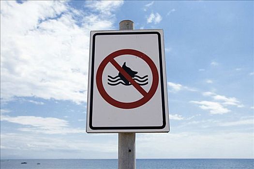 游泳,禁止,狗,标识,海滩