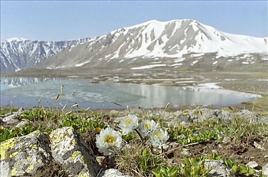 高山湖,国家公园,山峦,阿拉木图,区域,哈萨克斯坦