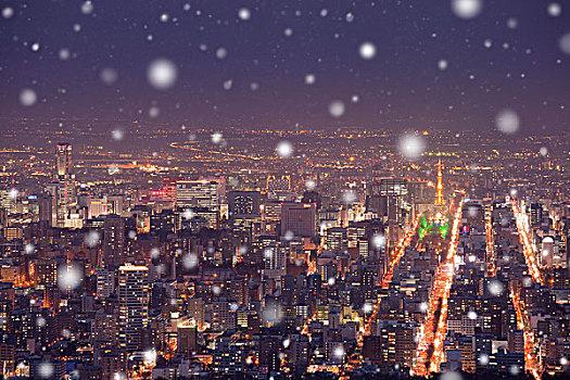 夜景,札幌,秋天,雪