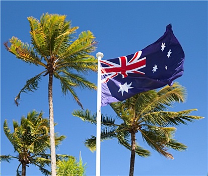 旗帜,热带,澳大利亚,棕榈树