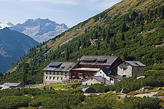 小屋,阿尔卑斯山,提洛尔,奥地利