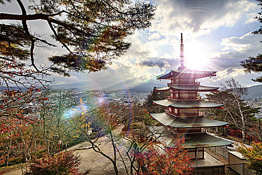 山,富士山,秋色,日本