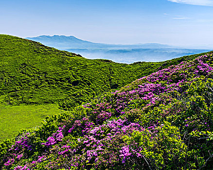 山脉,山