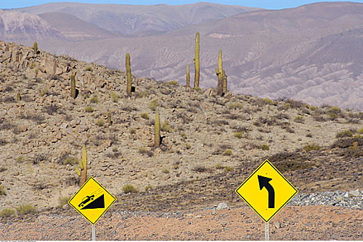 交通标志,荒芜,公路,萨尔塔省,阿根廷