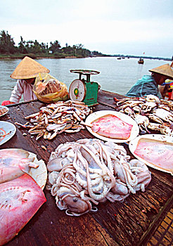 亚洲,越南,会安,早晨,鱼市