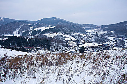 雪乡,雪村,吉林,临江市,村庄,山村,乡村,冬季,雪野,寒冷,农家,接待,旅游,松岭,东北,风情