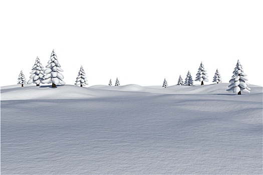 白色,雪景,冷杉