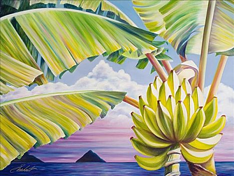 海滩,香蕉,夏威夷,瓦胡岛,串,树上,靠近,海洋,油画