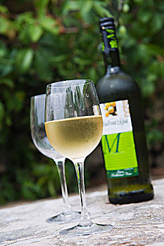瓶子,白色,葡萄酒,玻璃,橄榄,树,岛屿,达尔马提亚,克罗地亚,欧洲