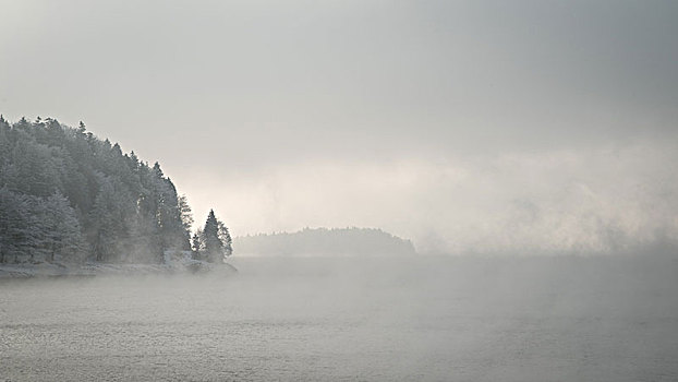 神秘,雾气,湖,瓦尔幸湖,冬天,巴伐利亚,德国