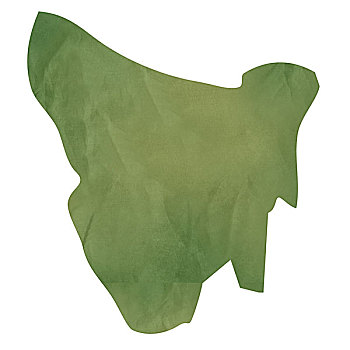 塔斯马尼亚,地图,绿色,纸