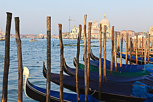 小船,停泊,运河,大教堂,背景,圣马利亚,行礼,大运河,威尼斯,威尼托,意大利