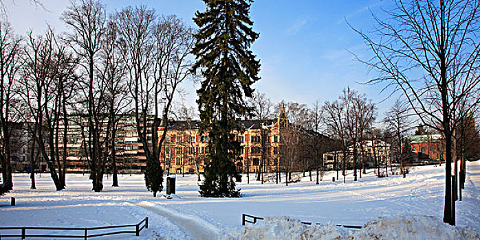 芬兰,海湾,赫尔辛基,冬天,住宅,居民区,公园