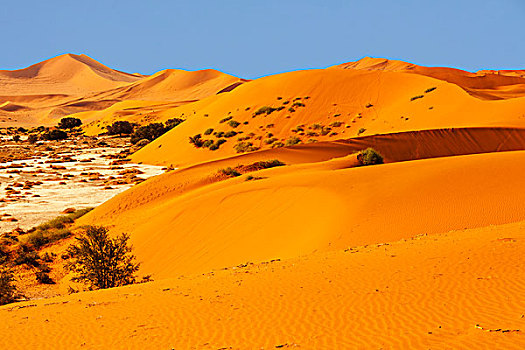 沙丘,索苏维来地区,纳米布沙漠,纳米比诺克陆夫国家公园,纳米比亚,非洲