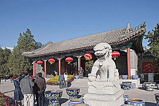 石头,监护,狮子,圆明园,北京,中国