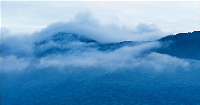 晨雾,山