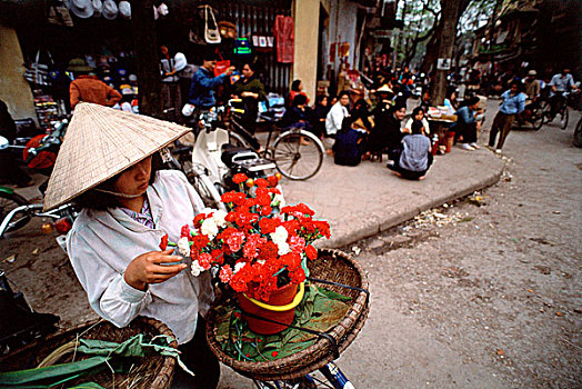 越南,河内,女人,拿着,花