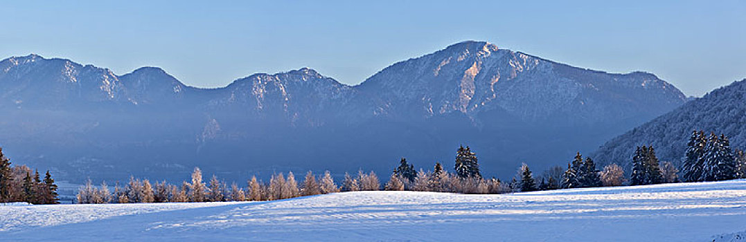 巴伐利亚,高山,冬天,德国
