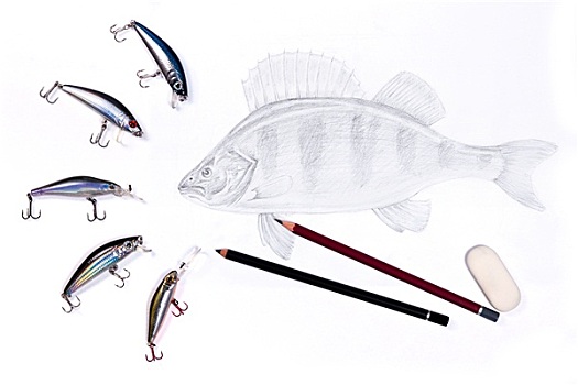 钓鱼,塑料制品,绘画,鱼,石墨,铅笔,橡皮,白色背景