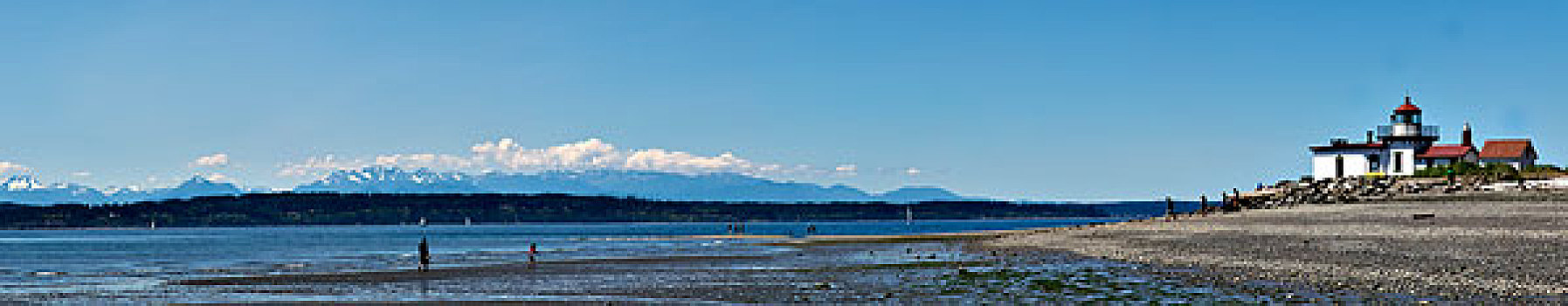 普吉特湾,美国