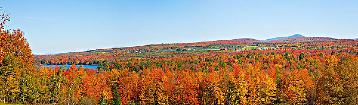 风景,秋色,湖,魁北克,加拿大