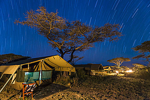 星迹,上方,露营,塞伦盖蒂国家公园,坦桑尼亚