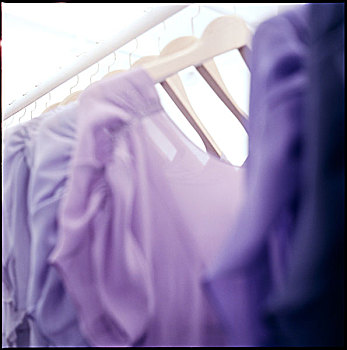 展示室,紫色,服装