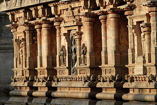 雕刻,墙壁,庙宇,坦贾武尔,地区,泰米尔纳德邦,印度