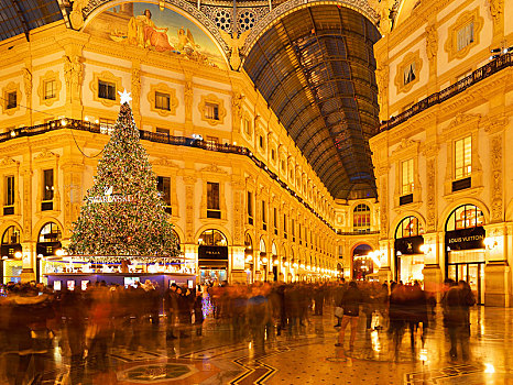 人,惊奇,圣诞树,圣诞灯光,奢华,购物,拱廊,遮盖,画廊,商业街廊,蓝色,钟点,米兰,伦巴第,意大利,欧洲