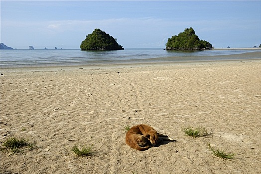 海岸,甲米