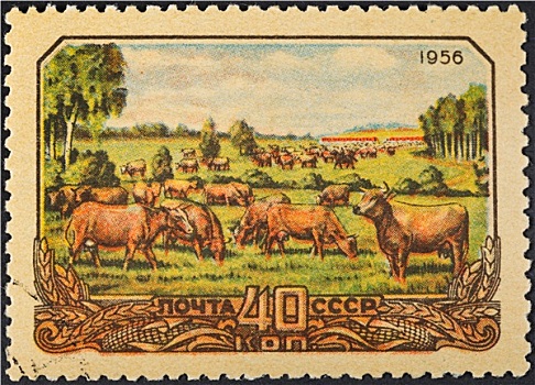 畜牧,苏联,俄罗斯